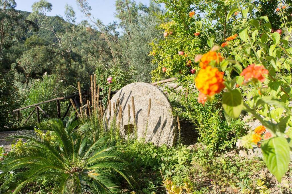 Agriturismo A Canonica Garlenda Exteriér fotografie